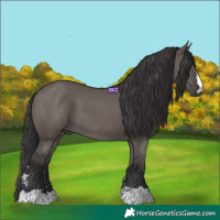 Horse Color:Smoky Grullo 