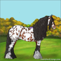Horse Color:Brown Near Leopard 