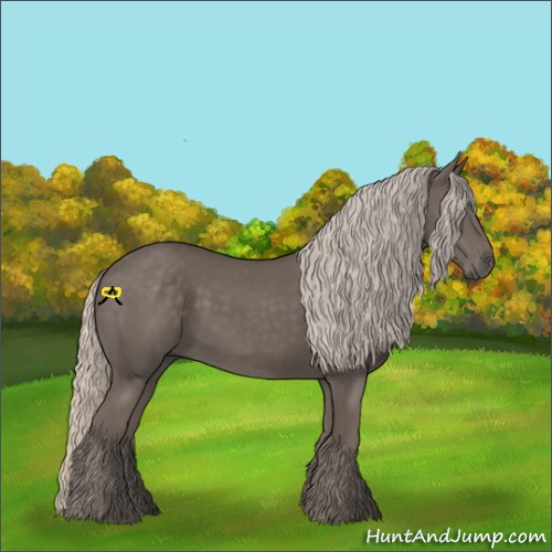 Horse Color:Silver Black 