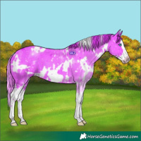 Horse Color:Watercolor White Spotted Liver Chestnut Splash Frame 