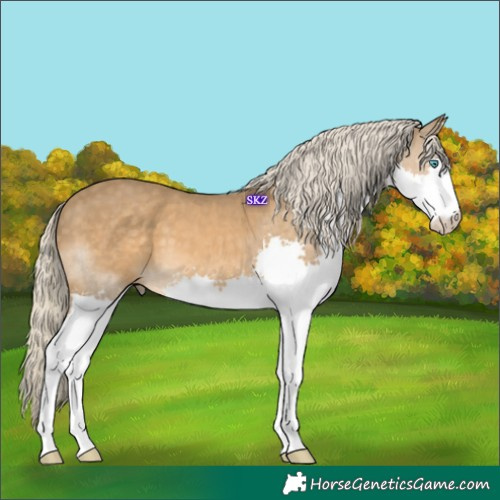 Horse Color:Chocolate Palomino Splash