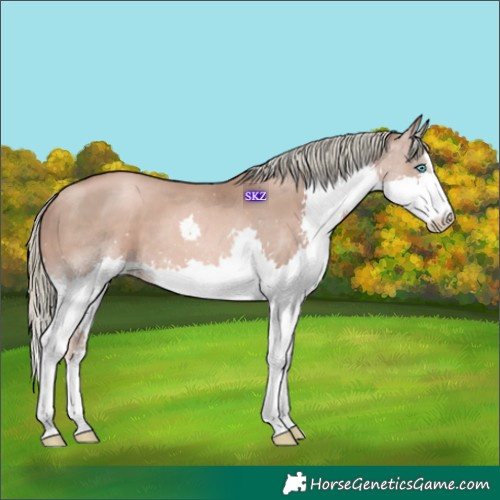 Horse Color:Liver Chestnut Pearl Mushroom Splash 