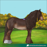 Horse Color:Liver Chestnut 