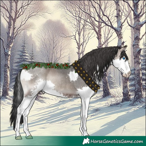 Horse Color:Blue Onyx Roan Sabino Splash 