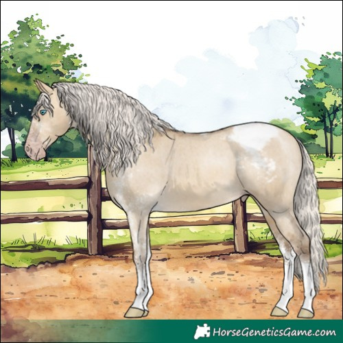 Horse Color:Gray White Spotted Silver Sable Cream Champagne Dun Tobiano Appaloosa Rabicano 