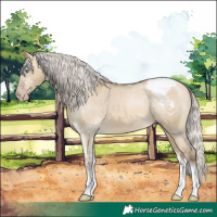 Horse Color:Gray White Spotted Silver Sable Cream Champagne Dun Tobiano Appaloosa Rabicano 