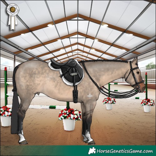 Horse Color:Brown Dun Sabino Rabicano 