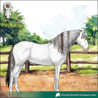 Horse Color:White Spotted Sable Champagne Dun Appaloosa Rabicano