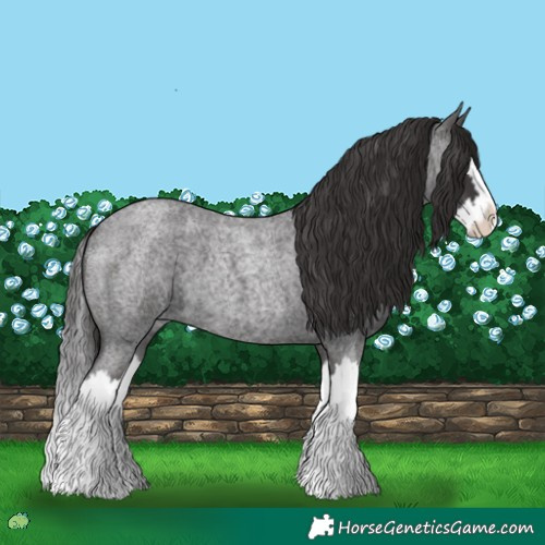 Horse Color:Smoky Blue Roan Splash