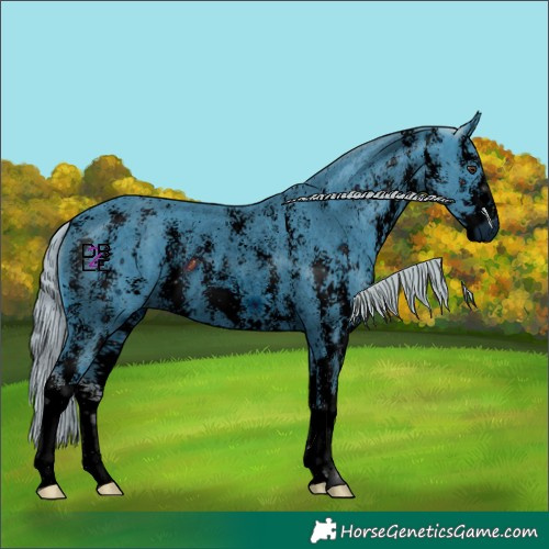 Horse Color:ERROR: UNKNOWN ANOMALY