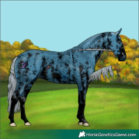 Horse Color:ERROR: UNKNOWN ANOMALY