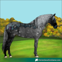 Horse Color:ERROR: UNKNOWN ANOMALY