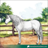 Horse Color:Gray White Spotted Grullo Rabicano 