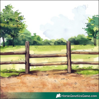 Horse Color:Gray White Spotted Grullo Rabicano