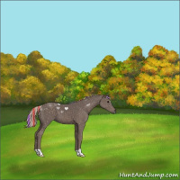 Horse Color:Painted Silver Black 