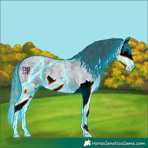 Horse Color:Thunderstruck Smoky Blue Chinchilla Roan Splash
