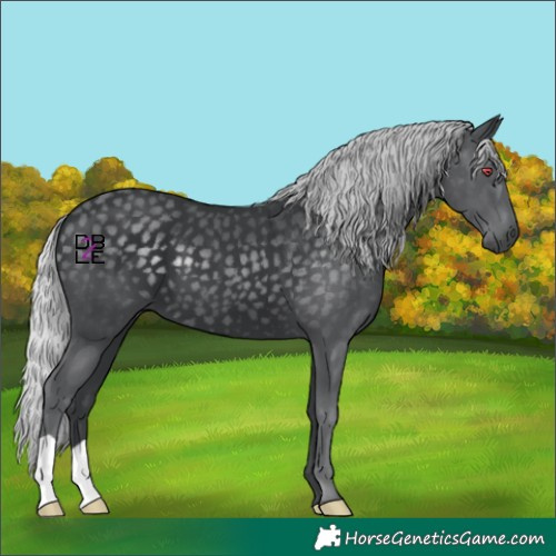 Horse Color:Silver Black Chinchilla