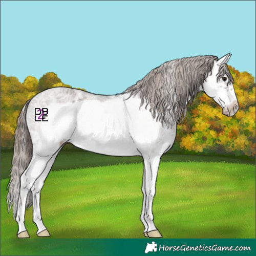 Horse Color:Grullo Ice Sabino Splash Frame Varnish 