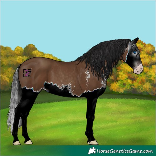 Horse Color:Gray Classic Champagne Sabino Splash
