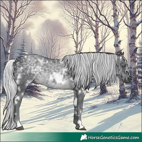 Horse Color:White Spotted Silver Black Chinchilla 