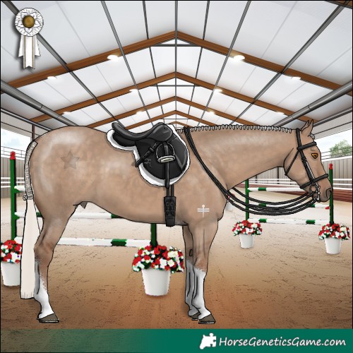 Horse Color:Silver Grullo Tobiano 