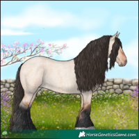Horse Color:Bay Roan Dun 