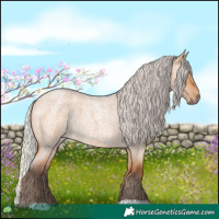 Horse Color:Silver Bay Roan Dun 