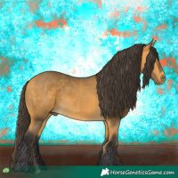 Horse Color:Buckskin 