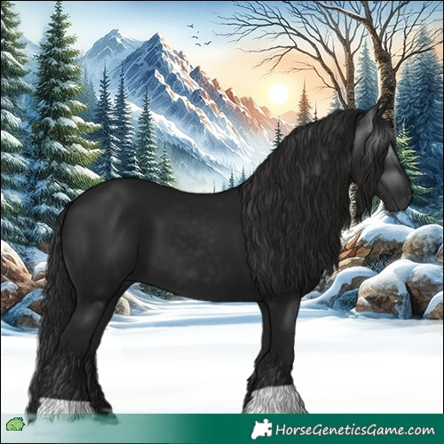 Horse Color:Gray Black