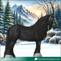 Horse Color:Gray Black 