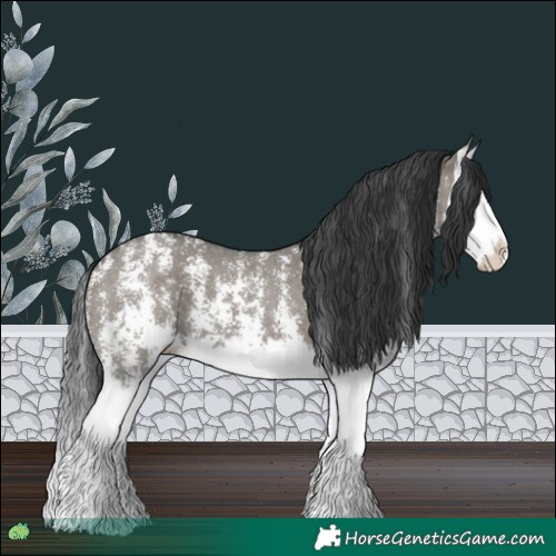Horse Color:Grullo Sabino Splash