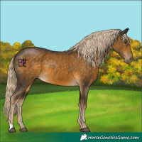 Horse Color:Chocolate Palomino Mushroom 