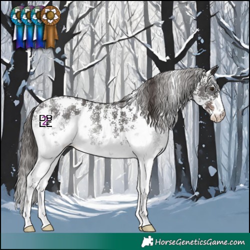 Horse Color:Liver Chestnut Sabino 