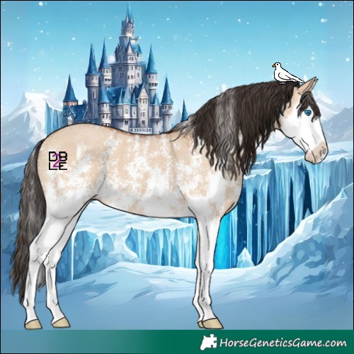 Horse Color:Bay Dun Sabino Splash 