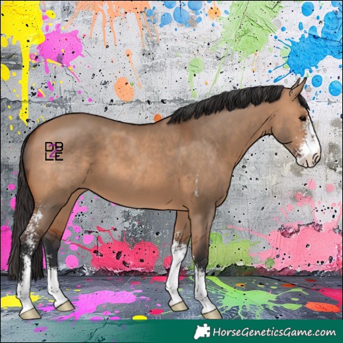 Horse Color:Bay Dun Sabino 