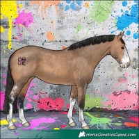 Horse Color:Bay Dun Sabino
