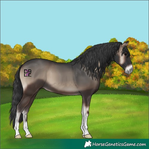 Horse Color:Blue Onyx