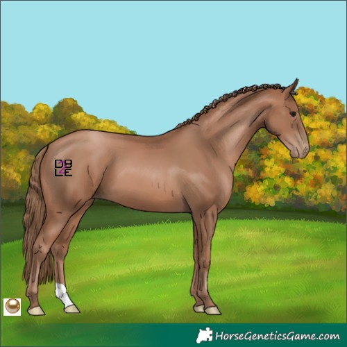 Horse Color:Black Pearl