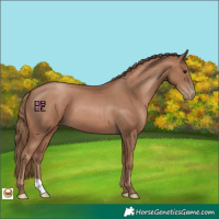 Horse Color:Black Pearl