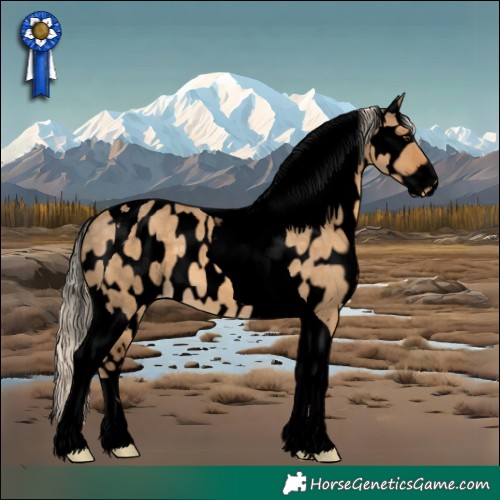Horse Color:Void Chocolate Palomino Dun Tobiano Leopard 