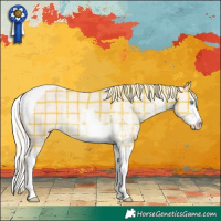 Horse Color:Plaid Silver Perlino Dun Sabino Tobiano Rabicano