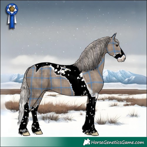 Horse Color:Plaid  Silver Grullo Splash Tobiano 