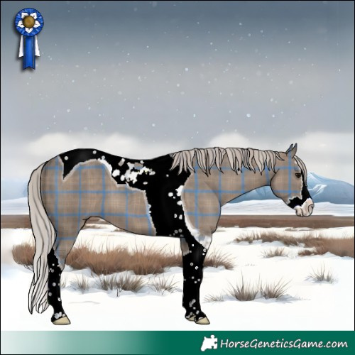 Horse Color:Plaid Silver Grullo Splash Tobiano