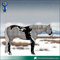 Horse Color:Plaid  Silver Grullo Splash Tobiano 
