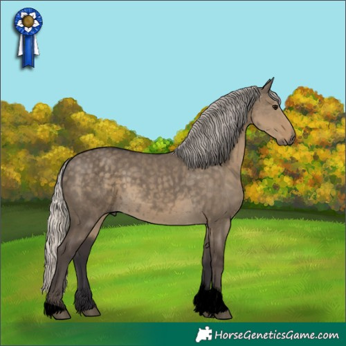 Horse Color:Void Silver Smoky Grullo Tobiano 