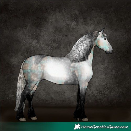 Horse Color:Gray Void Plaid  Silver Smoky Black Splash Tobiano 