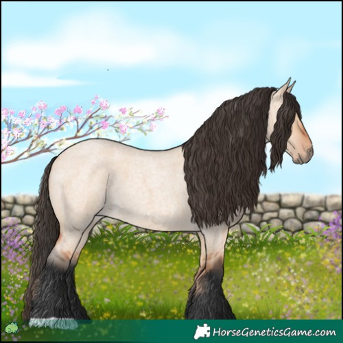 Horse Color:Bay Roan Dun 