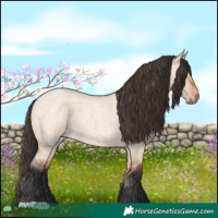 Horse Color:Bay Roan Dun 