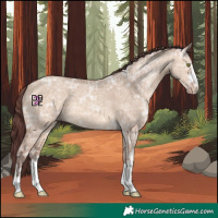 Horse Color:Chocolate Sable Champagne Ice Dun 