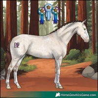 Horse Color:Chocolate Sable Champagne Ice Dun 